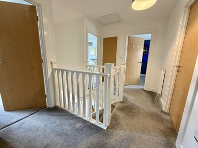 Picture 20